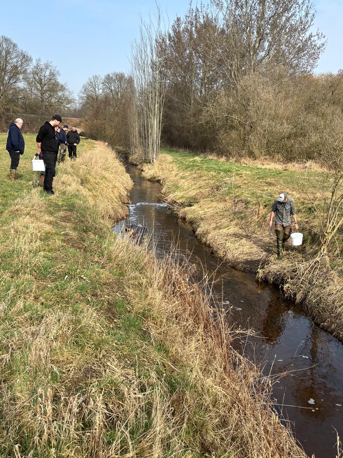 Meerforellenbesatz 4